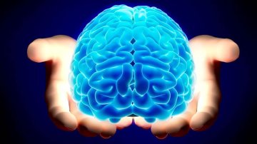 Vylepšuje KURKUMÍN kognitívne funkcie?