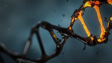 Oxidatívny stres – všetko, čo by ste mali o ňom vedieť