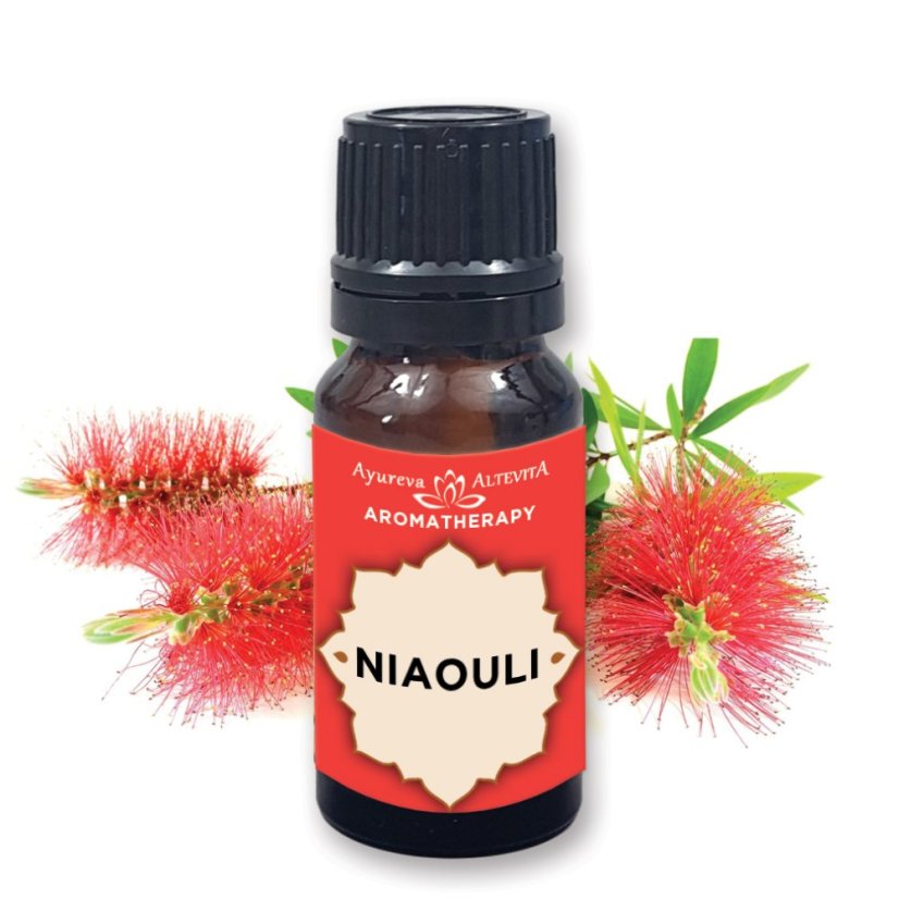 100% esenciálny olej NIAOULI - Olej revitalizácie 10ml