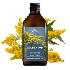 Zlatobyľ kanadská  – BIO hydrolát 200 ml