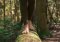Uzemnenie alebo “grounding”