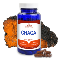 Chaga 60 kapsúl