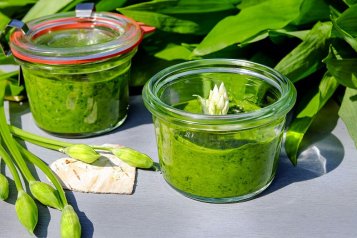 Ako si pripraviť pesto z medvedieho cesnaku
